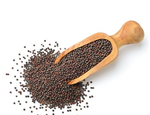Mustard Seeds